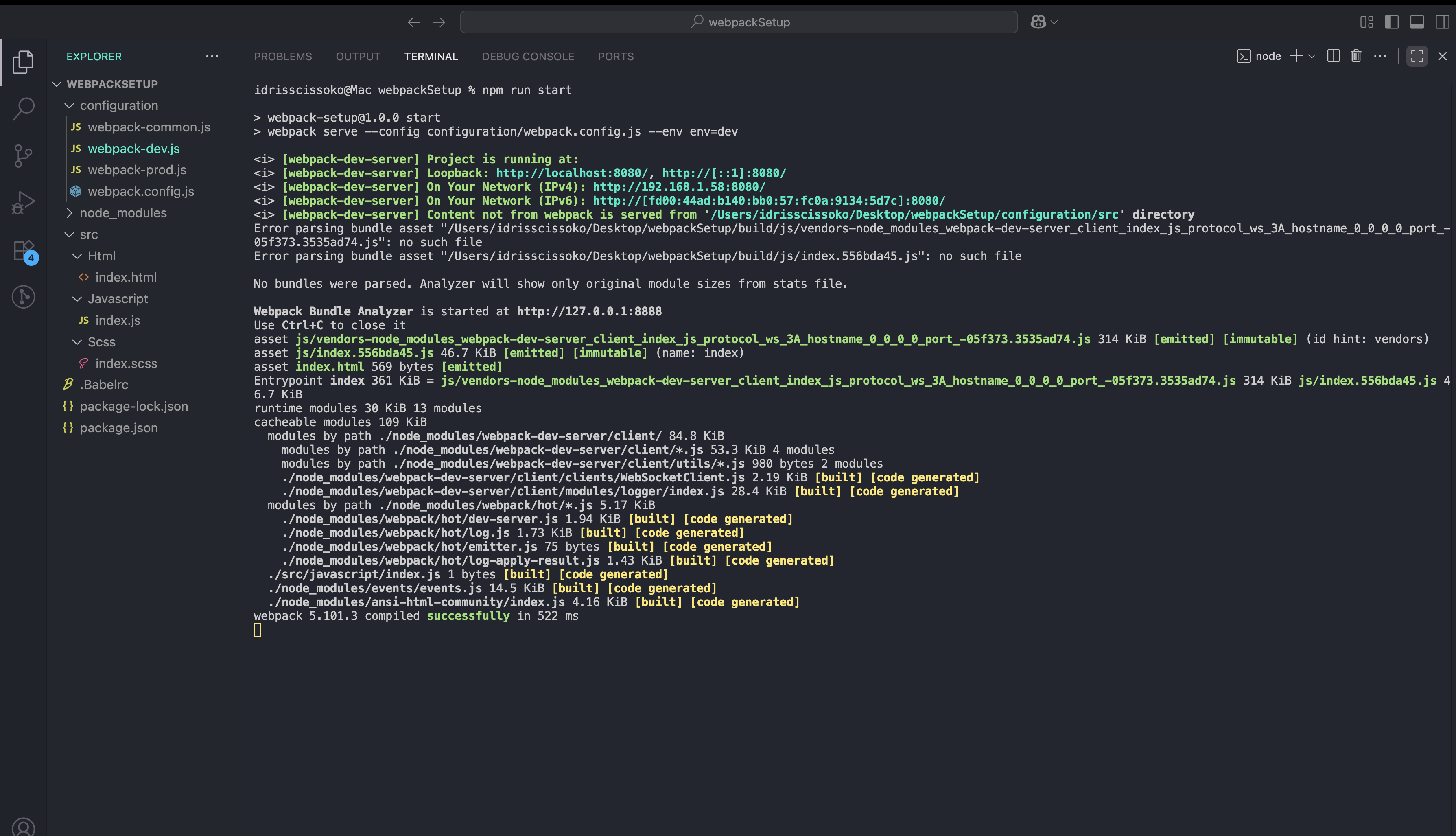 output of npm run start in terminal