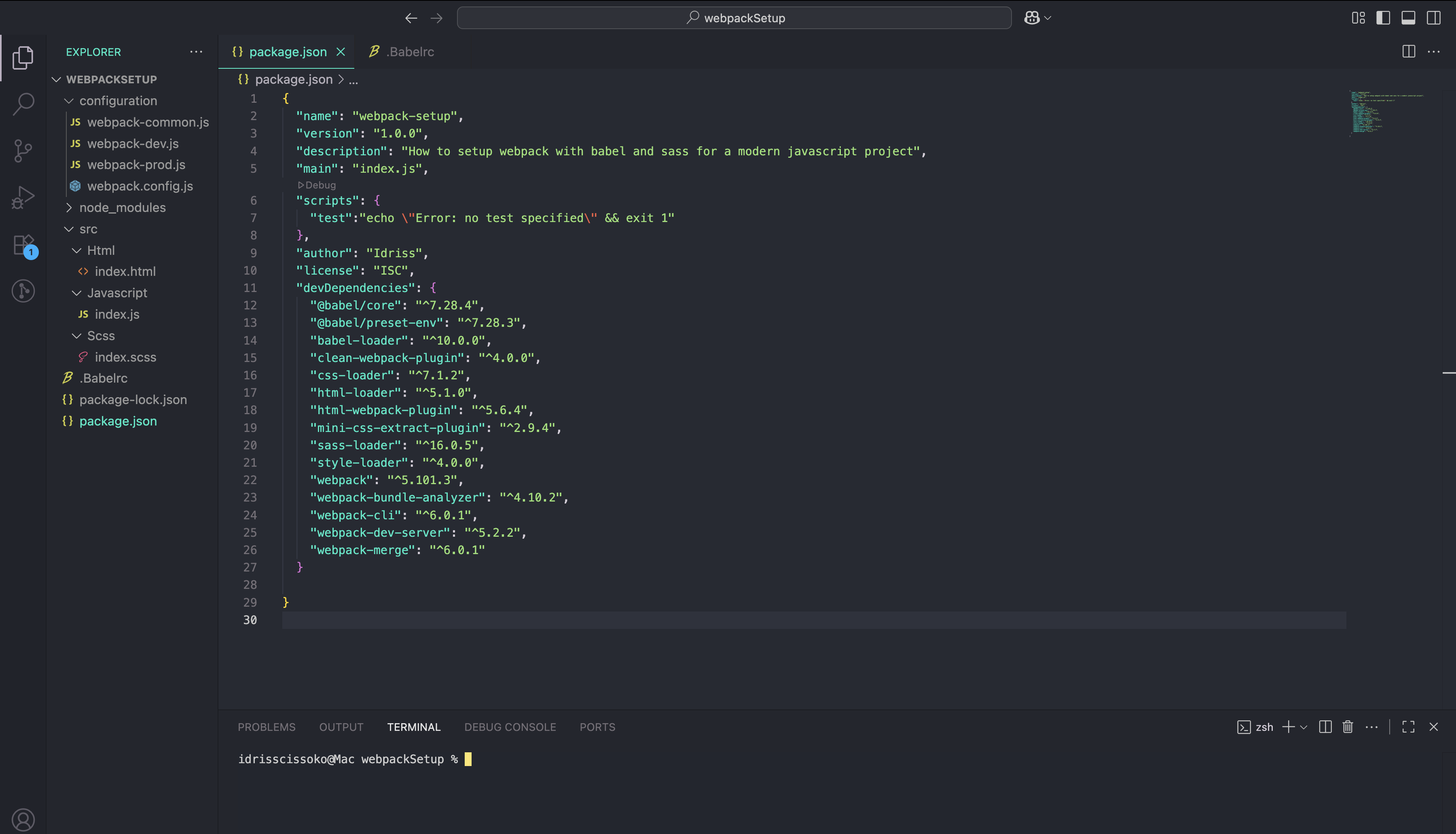package.json with dev dependencies intalled