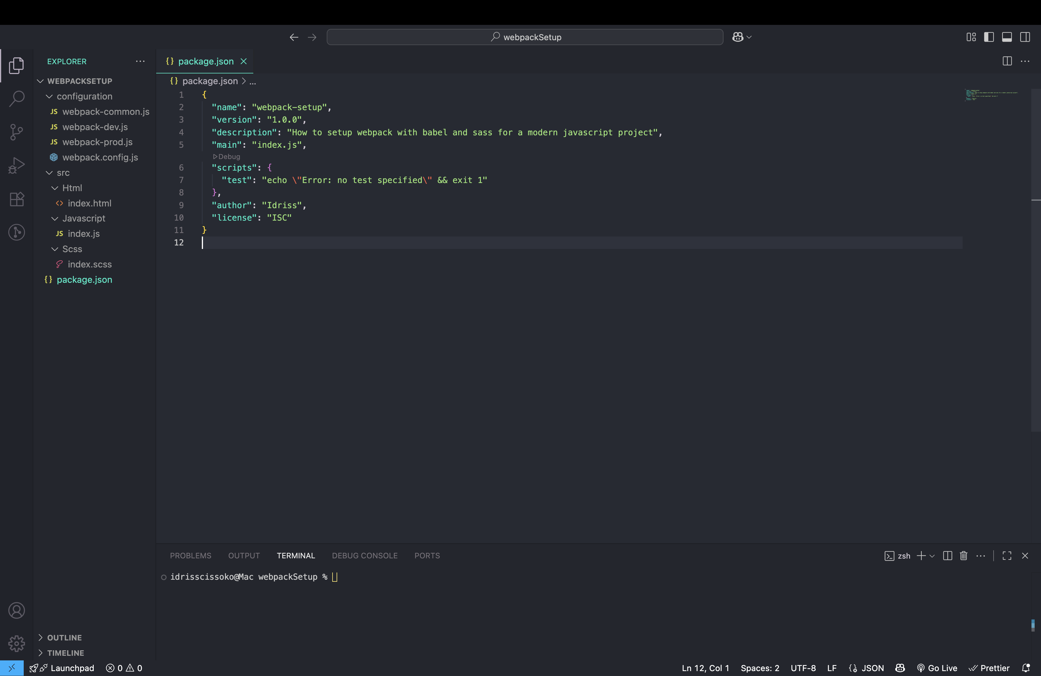 folder structure after initializing npm
